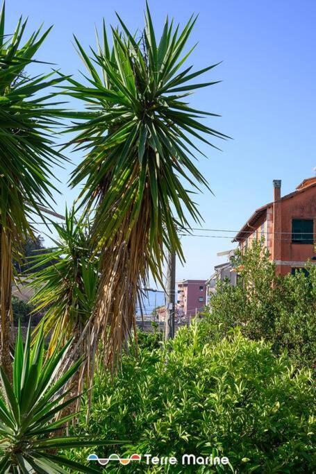 Ferienwohnung Nettuno, Terremarine Monterosso al Mare Exterior foto